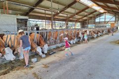 20240823_160543-scaled