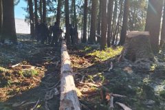 20260103_112308-scaled